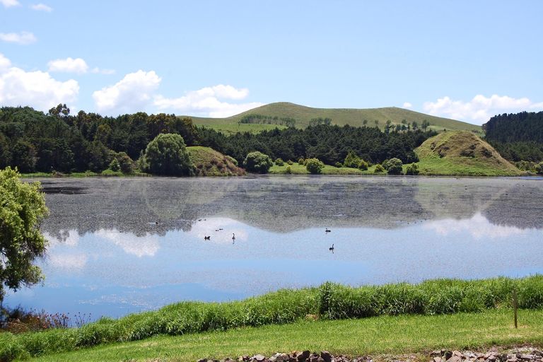 Photo of property in 119 Manu Drive, Kaiwaka, 0573