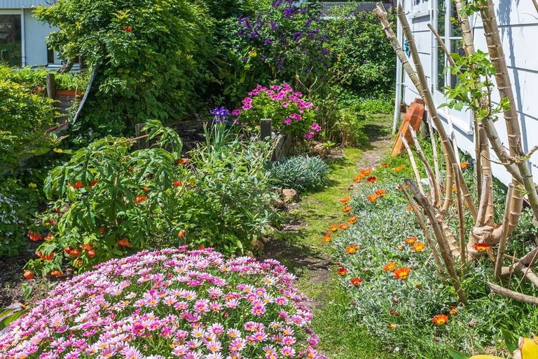 Photo of property in 201 Robert Street, Thames, 3500