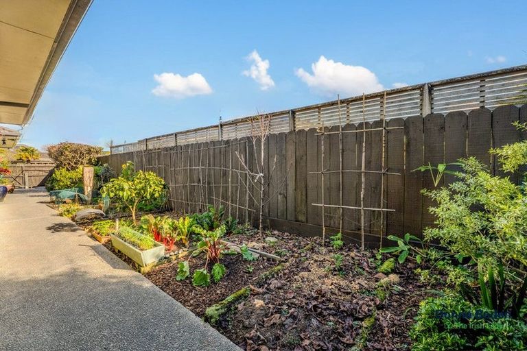 Photo of property in 1 Max Short Drive, Pukekohe, 2120