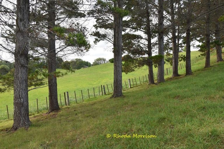 Photo of property in 69 Matakohe Wharf Road, Matakohe, 0593