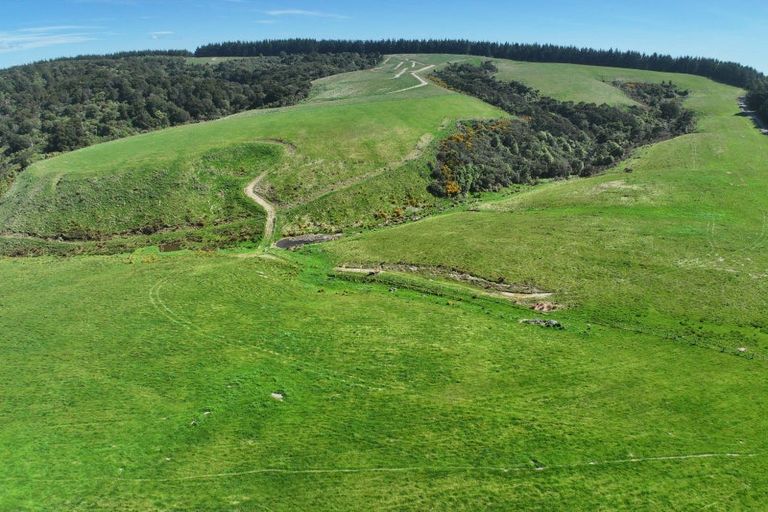 Photo of property in 205 Otokia-kuri Bush Road East, Kuri Bush, Dunedin, 9091