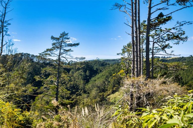 Photo of property in 225 Rocky Cutting Road, Waitao, Tauranga, 3175