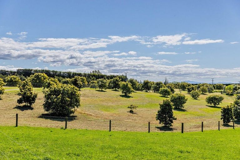 Photo of property in 390 Hereford Road, Oropi, Tauranga, 3173