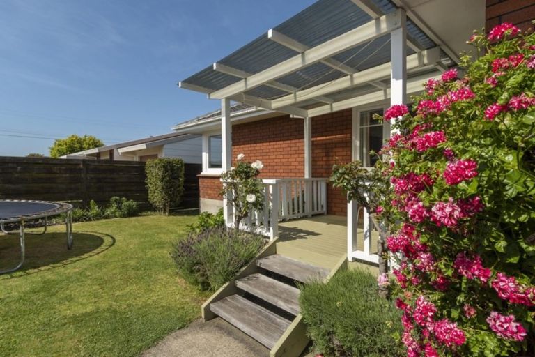 Photo of property in 88 Grange Road, Otumoetai, Tauranga, 3110