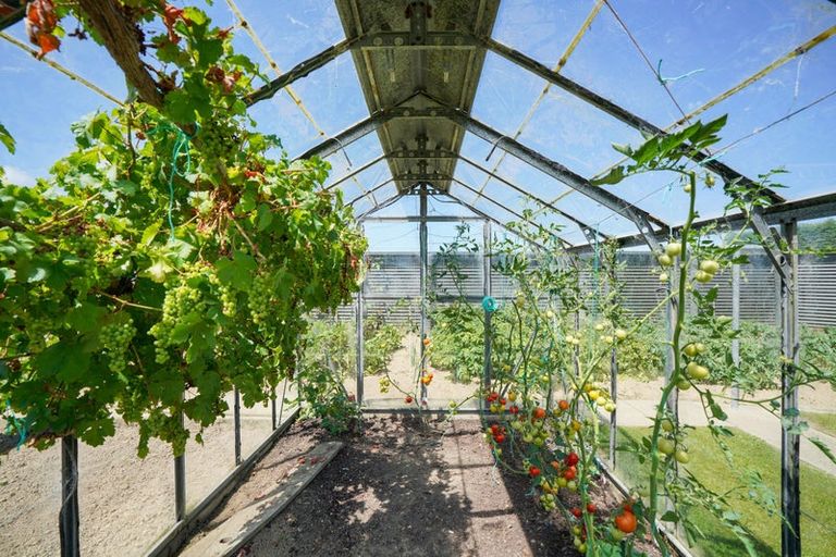 Photo of property in 207 Waimatuku Bush Road, Wrights Bush, Invercargill, 9874