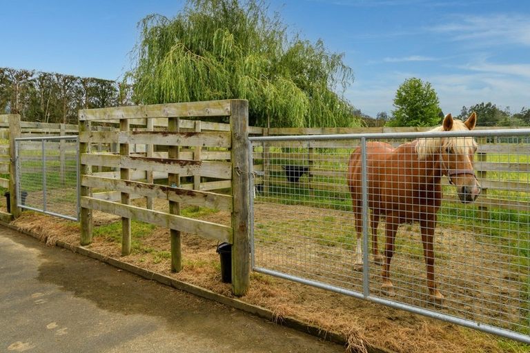 Photo of property in 30a Thompsons Track, Aongatete, Katikati, 3178