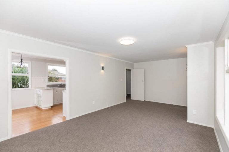 Photo of property in 91 Bruce Avenue, Glenview, Hamilton, 3206