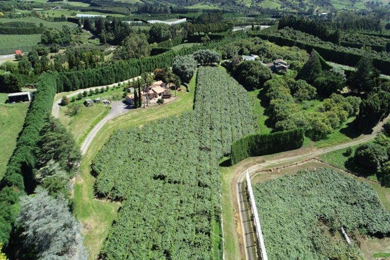 Photo of property in 6 Woodland Road, Johnsonville, Wellington, 6037