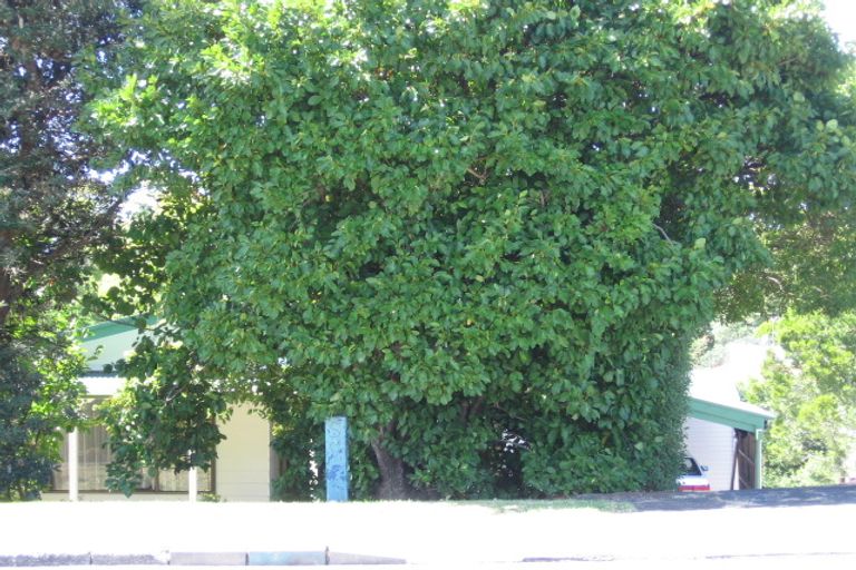 Photo of property in 195 Rangatira Road, Beach Haven, Auckland, 0626