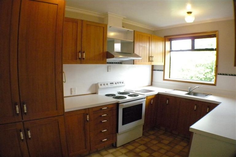 Photo of property in 78a Signal Hill Road, Opoho, Dunedin, 9010