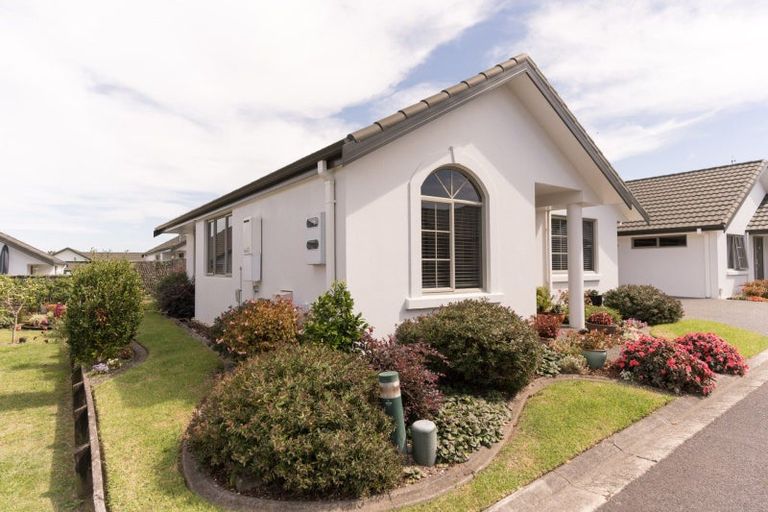 Photo of property in 22 Pyes Pa Road, Pyes Pa, Tauranga, 3112