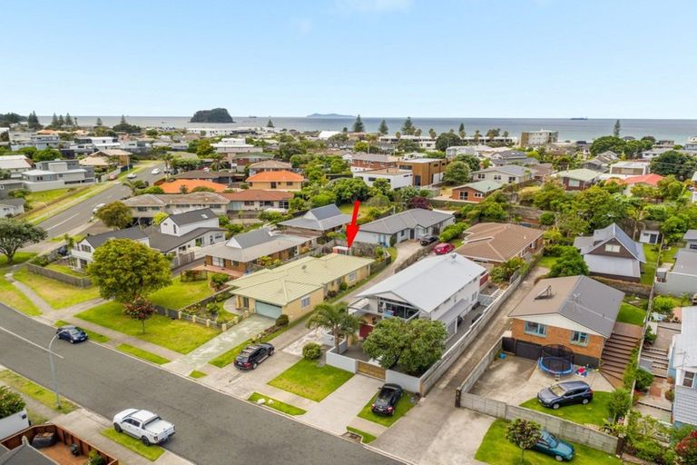 Photo of property in 41a Valley Road, Mount Maunganui, 3116