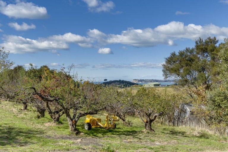 Photo of property in 136 Seafield Road, Eskdale, Napier, 4182