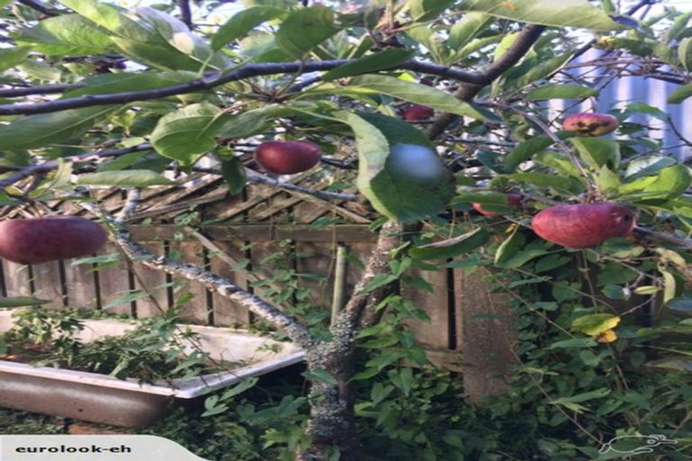 Photo of property in 72 Aro Street, Aro Valley, Wellington, 6021