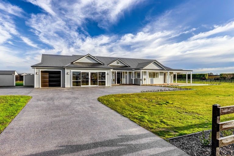 Photo of property in 24 Catalyst Avenue, Leamington, Cambridge, 3432