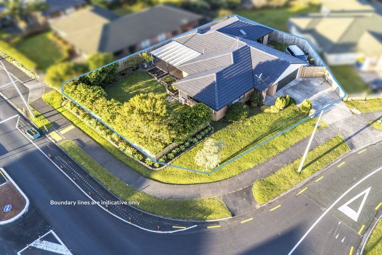 Photo of property in 51 Semillon Avenue, Henderson, Auckland, 0612