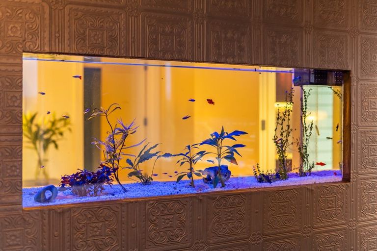 Photo of property in 5 Helm Place, Whitby, Porirua, 5024