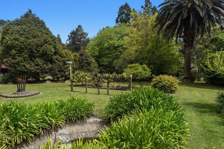 Photo of property in 326b White Pine Bush Road, Poroporo, Whakatane, 3192