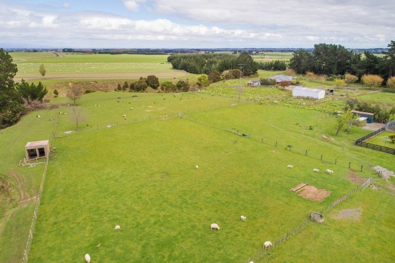 Photo of property in 283 Forlong Road, Colyton, Feilding, 4775