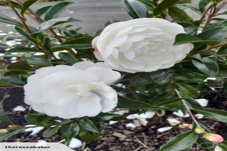 Photo of property in 30 Ruru Lane, Kerikeri, 0230