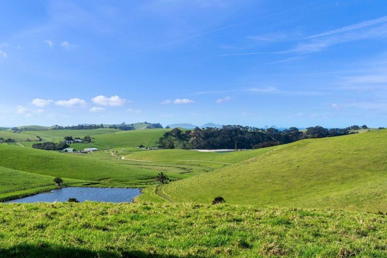 Photo of property in 55 Harambee Road, Taiharuru, Onerahi, 0192