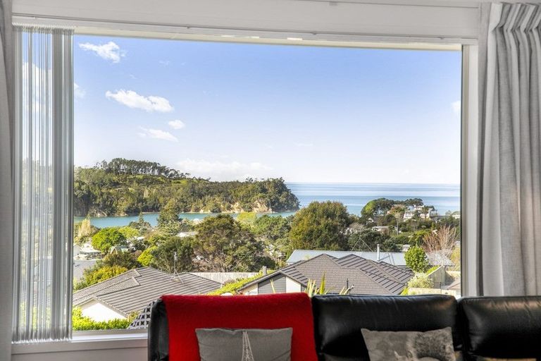 Photo of property in 19 Seaview Crescent, Hatfields Beach, Orewa, 0931