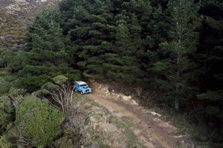 Photo of property in Long Gully Farm, 391 Southernthread Road, Brooklyn, Wellington, 6021