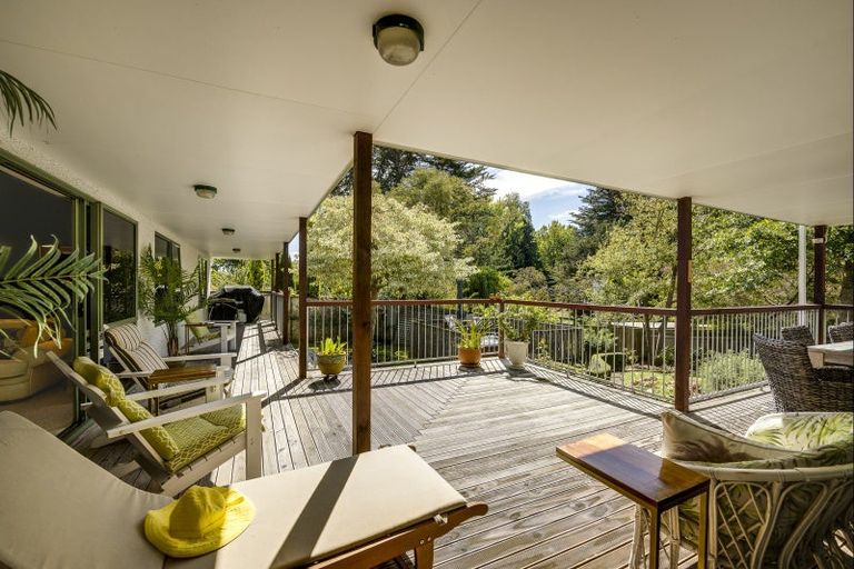 Photo of property in 45 Greenwood Road, Havelock North, 4130