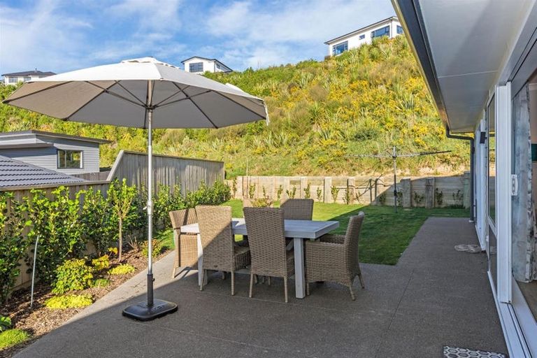 Photo of property in 45 Ken Douglas Drive, Aotea, Porirua, 5024