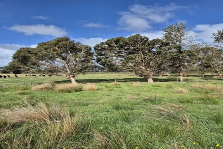Photo of property in 50b Painua Road, Hokio Beach, Levin, 5571
