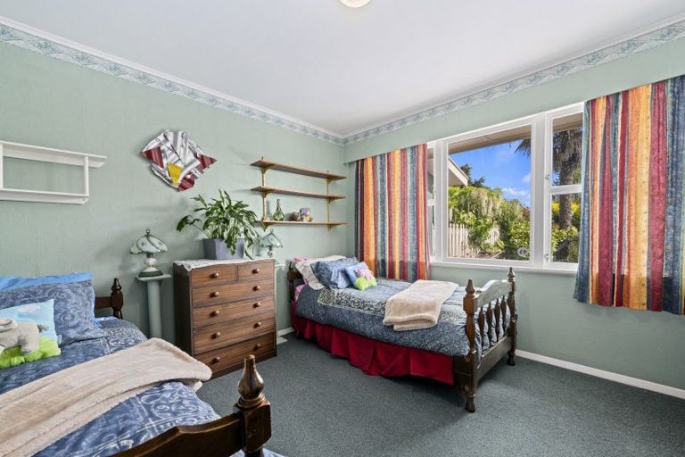 Photo of property in 9 Pope Crescent, Witherlea, Blenheim, 7201