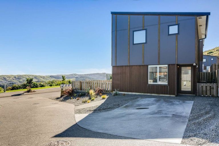 Photo of property in 38 Astelia Way, Woodridge, Wellington, 6037