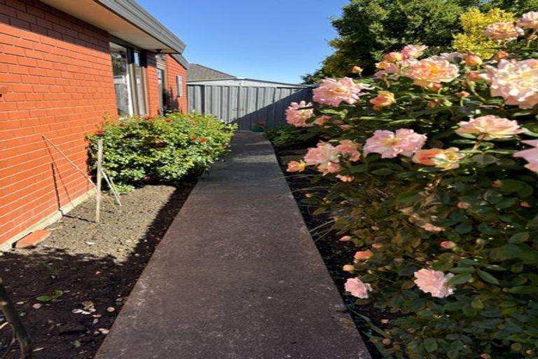 Photo of property in 4 Barker Street, Lincoln, 7608