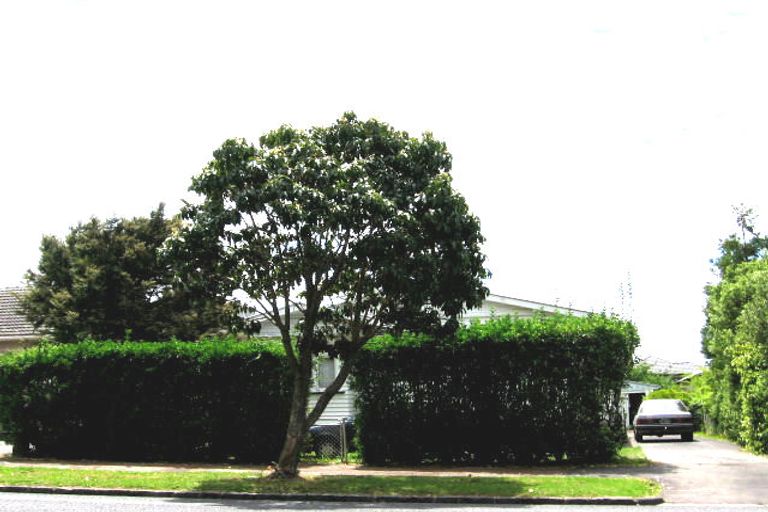 Photo of property in 225 Meola Road, Point Chevalier, Auckland, 1022