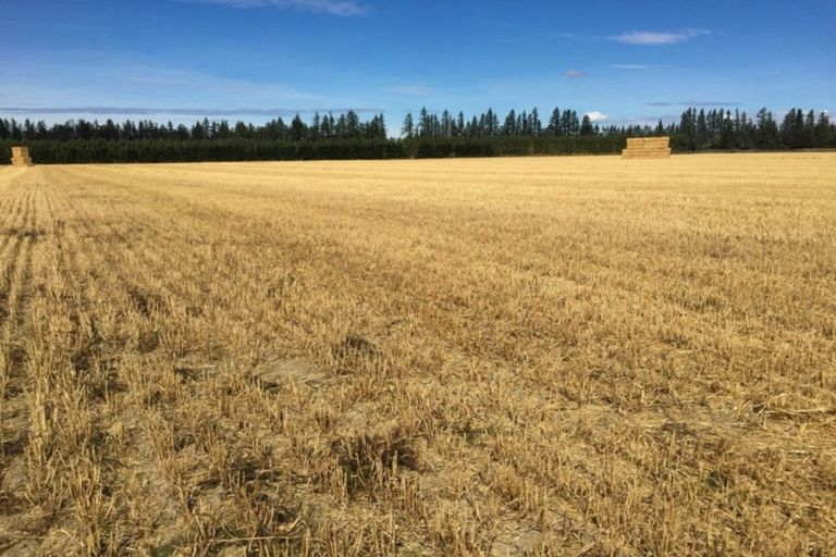 Photo of property in 80 Mount Hutt Station Road, Methven, Rakaia, 7782