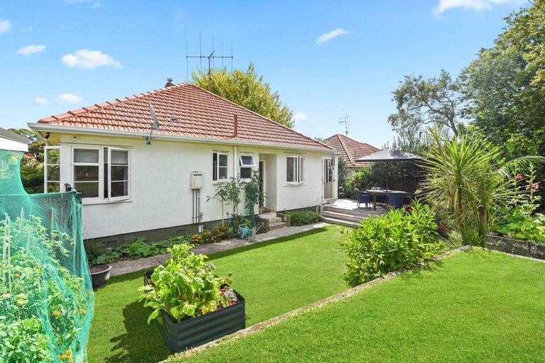 Photo of property in 54 Plunket Terrace, Hamilton East, Hamilton, 3216