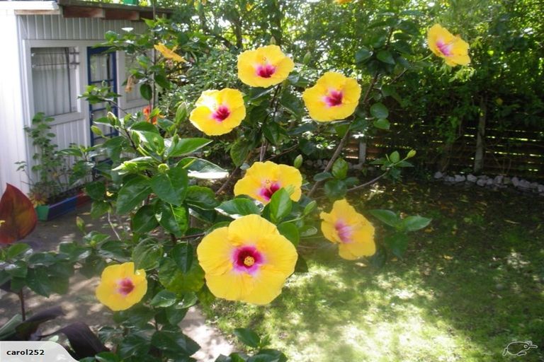 Photo of property in 11 Challinor Street, Pakuranga, Auckland, 2010