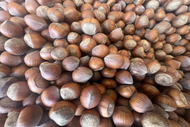 Photo of property in 459 Flora East, Makarewa, Invercargill, 9876