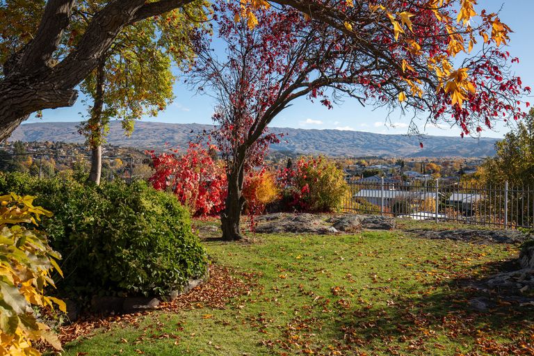 Photo of property in 11 Chapple Street, Alexandra, 9320