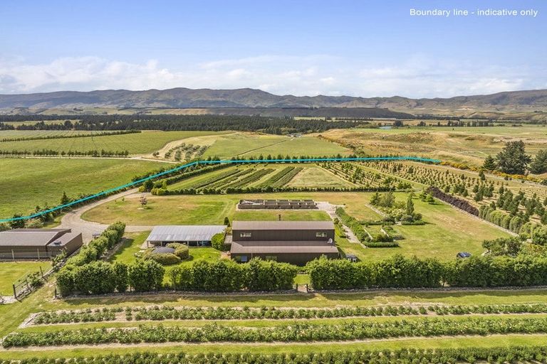 Photo of property in 42d Gladsmuir Road, Queensberry, Cromwell, 9383