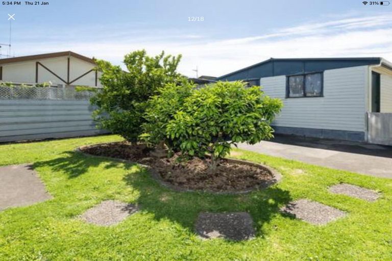 Photo of property in 25b Hayes Avenue, Gate Pa, Tauranga, 3112