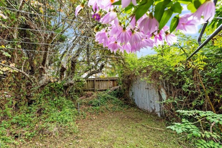 Photo of property in 54 Calliope Road, Devonport, Auckland, 0624