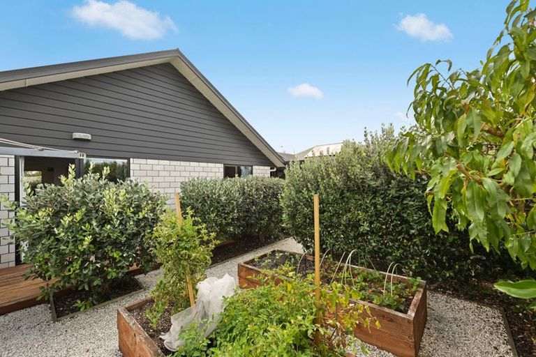 Photo of property in 52 Norfolk Drive, Cambridge, 3434