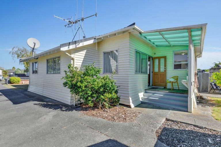 Photo of property in 38 Miro Street, Takaro, Palmerston North, 4410