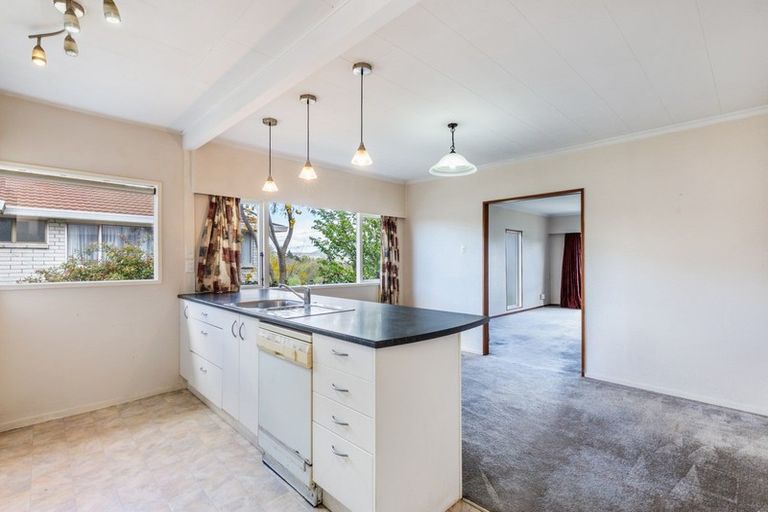 Photo of property in 45 Norman Smith Street, Nukuhau, Taupo, 3330