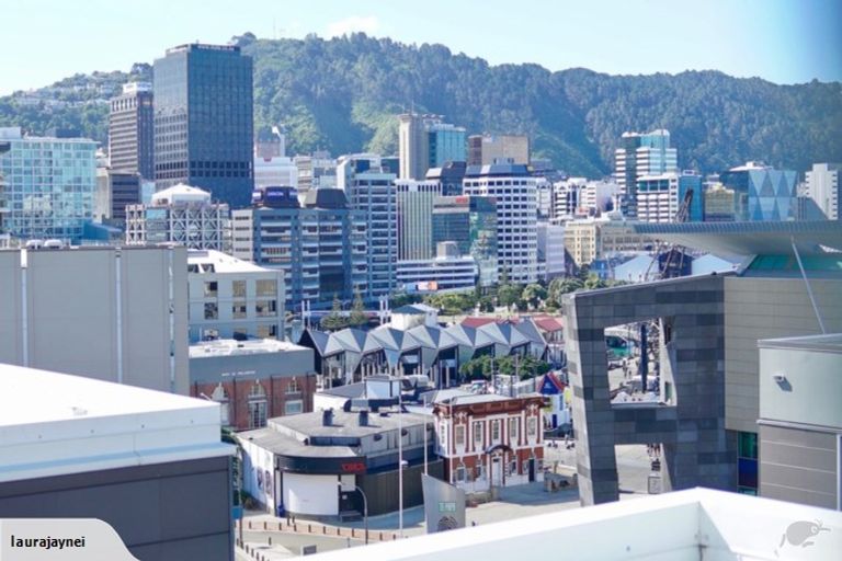 Photo of property in Monument Apartments, 9e/245 Wakefield Street, Te Aro, Wellington, 6011