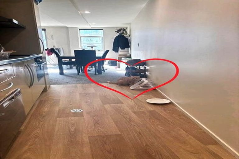 Photo of property in The Lofts, 32/185 Victoria Street, Te Aro, Wellington, 6011