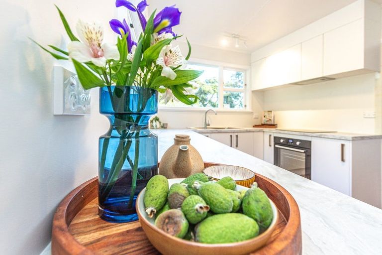 Photo of property in 42a College Street, College Estate, Whanganui, 4500