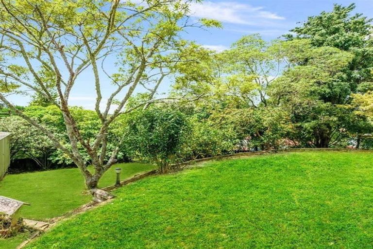 Photo of property in 44 Rhinevale Close, Henderson, Auckland, 0612