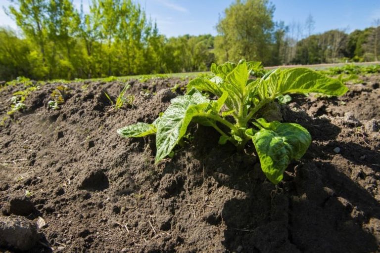 Photo of property in 1468 Matawai Road, Ormond, Gisborne, 4071